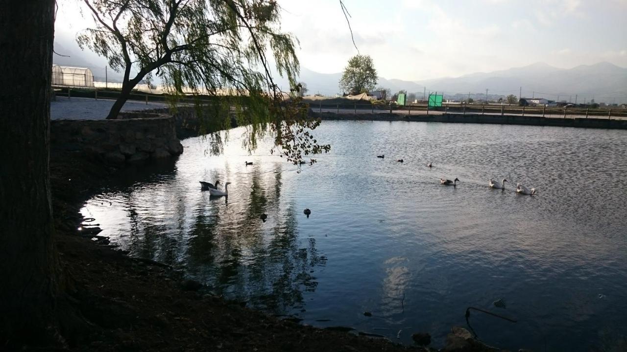 Aqui Te Quiero Ver Ventas de Zafarraya Buitenkant foto